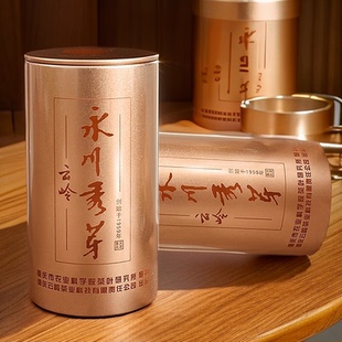 珍芽绿茶50g 云岭高端永川秀芽 罐重庆高档名茶明前茶叶 新茶