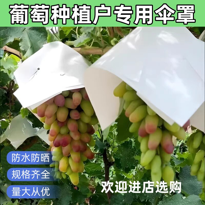 妮娜皇后葡萄专用套袋子露天防鸟吃虫包水果子纸加厚保护阳光玫瑰