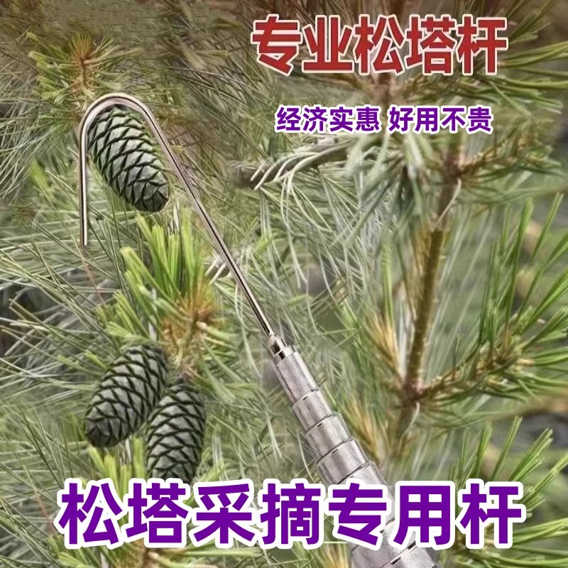 摘松果神器采摘松塔的工具钩松苞