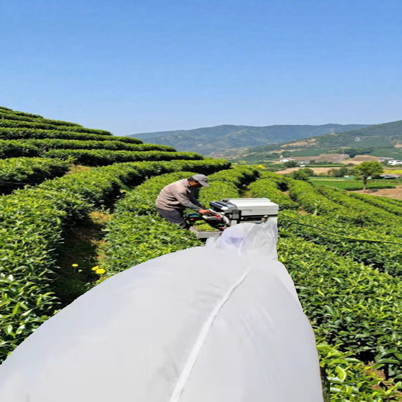 摘茶叶布袋子单双人采茶机袋采茶