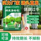 树木美白剂树干大树美白果木防虫防冻园林御寒刷白剂A7