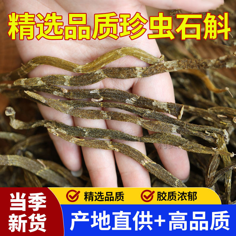 珍虫石斛干条新货胶质丰富非打粉中药材送长辈礼物泡水煮水煲汤