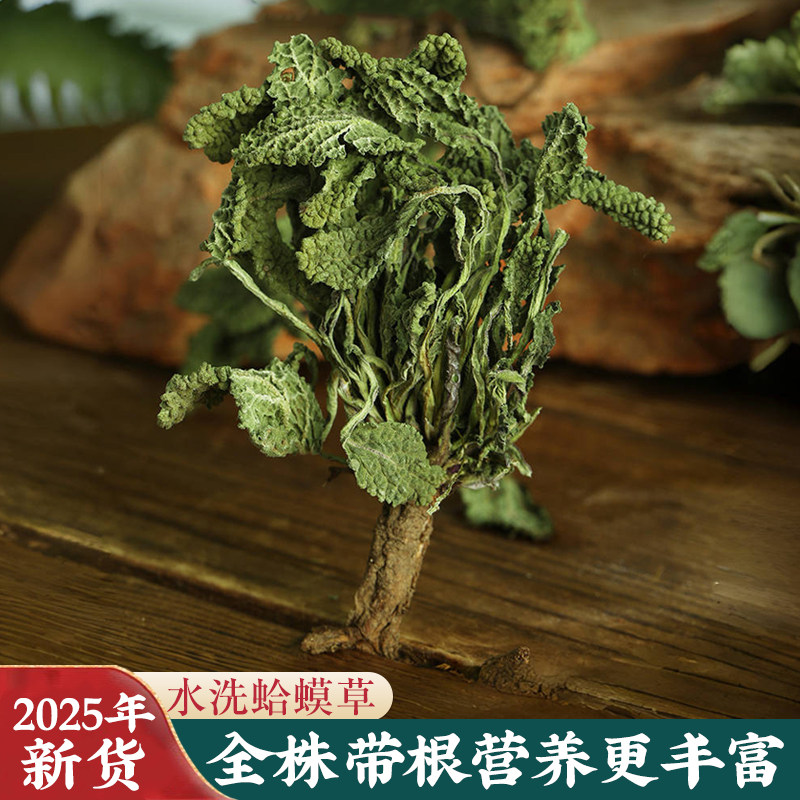 新货蛤蟆草500克 癞蛤蟆草全株晒干不野生中药材荔枝草蟾青蛙蜍草