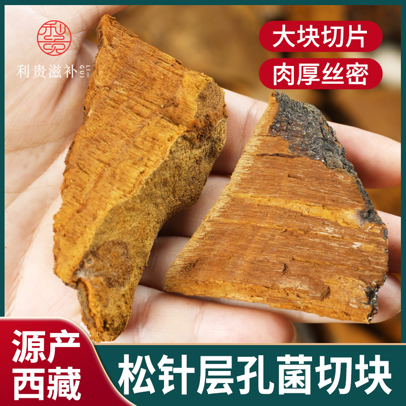 西藏松针层孔菌松树桑黄整支灵芝干货500g非长白山野生松木层孔菌