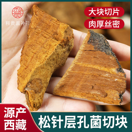 西藏松针层孔菌松树桑黄整支灵芝干货500g非长白山野生松木层孔菌