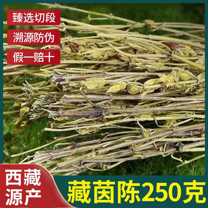 藏茵陈西藏特产新鲜苦胆草赶黄草250克中药材泡水肝火泡茶