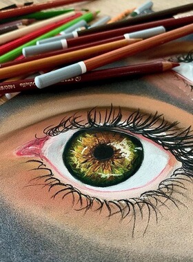 德国天鹅pastel pencils色粉铅笔STABILO思笔乐粉彩铅carbothello彩色炭笔于小冬老师三支笔干粉单支色粉铅笔