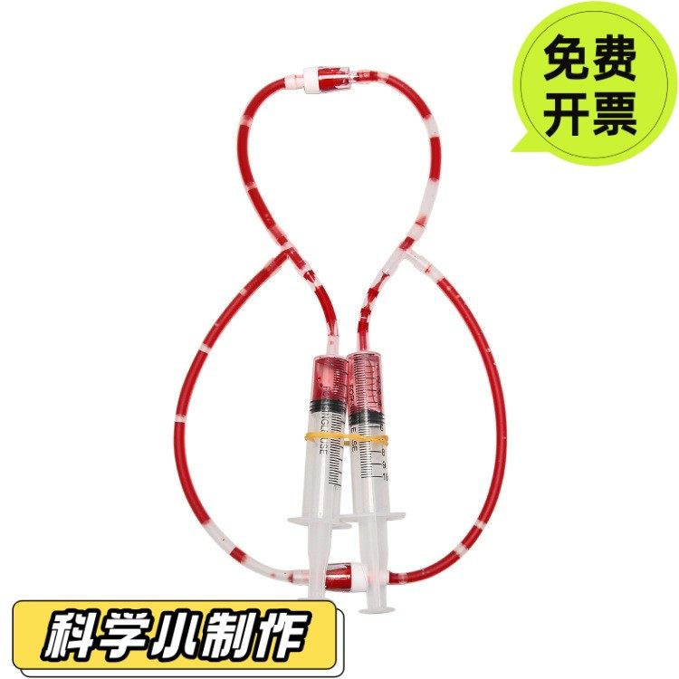 儿童认识人体器官血液循环模型教具图初中生物小学生医学实验SD78