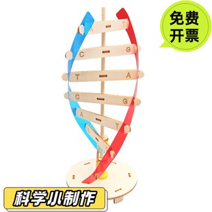 DNA双螺旋结构模型小学科学社团制作材料包人体基因生物科学HN74