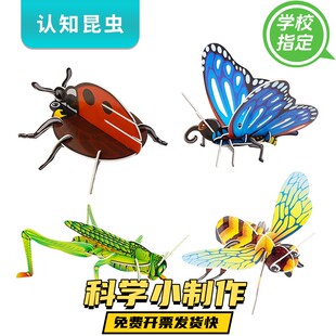 3D立体昆虫拼图儿童小玩具益智动手模型幼儿园恐龙趣味 卡通拼装
