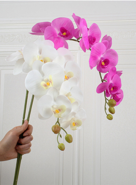 惠艺轩花艺 PU手感白色蝴蝶兰仿真花假花单枝室内摆件客厅装饰花