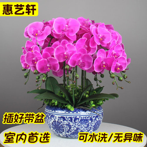 高品质PU手感蝴蝶兰仿真花单枝
