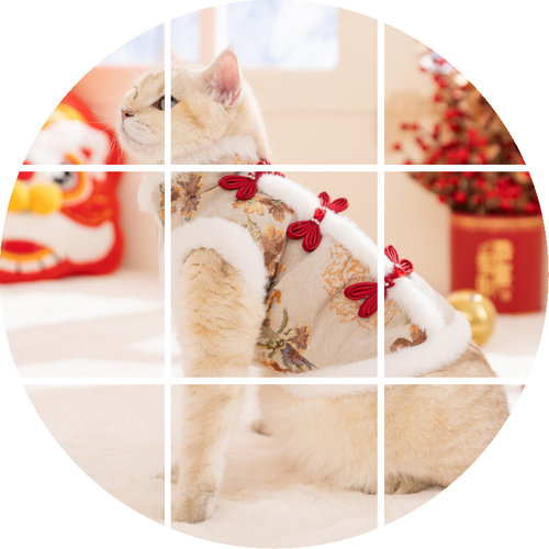 猫咪狗狗新年富贵花开马甲