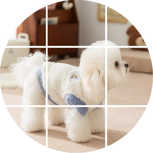 秋冬季狗狗衣服约克夏比熊泰迪两