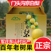 新鲜当季 门头沟京白梨 军庄镇东山村梨子 水果