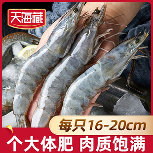 天海藏南美白虾1.65kg/盒40-45只左右 每只16-20cm海鲜水产大虾ZB
