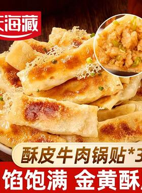 天海藏酥皮牛肉锅贴250g/袋50个