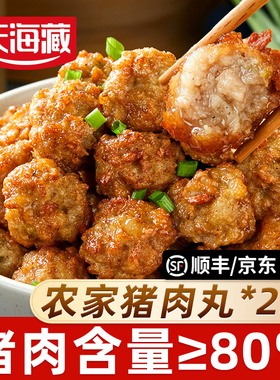 【约40/80颗】天海藏农家猪肉丸猪肉含量≥80% 200g/袋空气炸锅