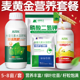 麦黄金小麦高产叶面肥专用水溶肥料增产套餐促根壮苗分蘖返青营养