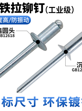 CZ五金30级全铁镀锌抽芯铆钉圆头GB12618沉头GB12617抽心柳钉拉钉