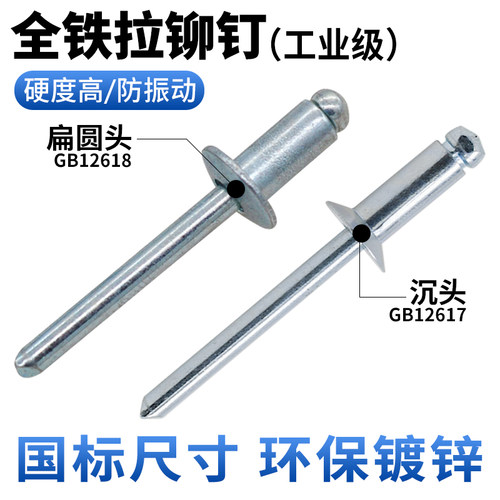 全铁镀锌扁圆头/沉头抽芯铆钉