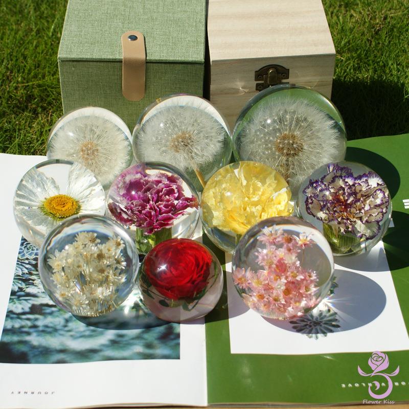 BK9K蒲公英标本玫瑰雏菊花康乃馨水晶球树脂摆件滴胶成品花镇