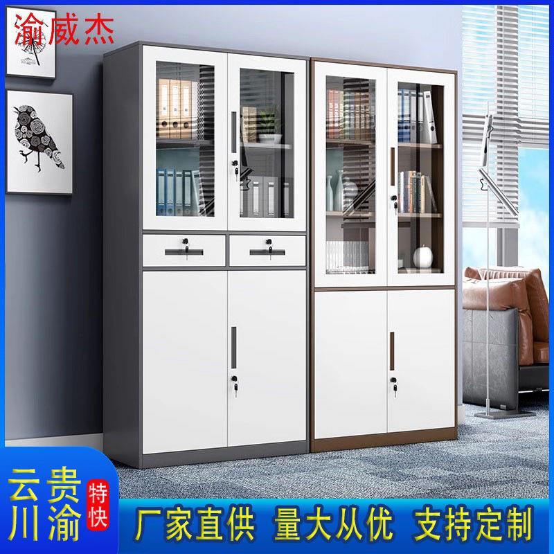 钢制套色文件柜拆装柜资料柜办公室财务收纳柜玻璃带锁储物矮柜