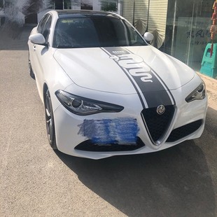 阿尔法·罗密欧Stelvio Giulia车贴汽车装饰拉花个性专用贴纸