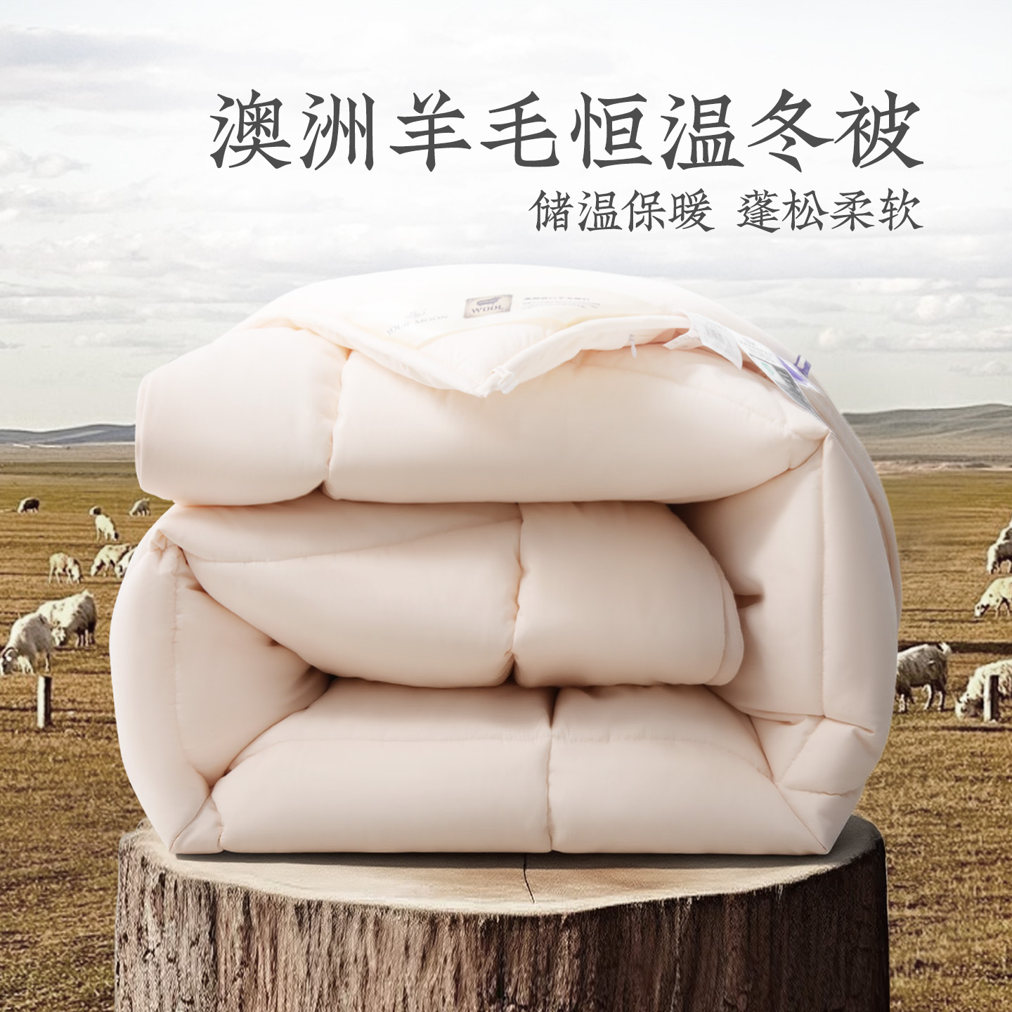 远梦新西兰进口羊毛冬被保暖