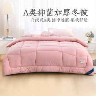 远梦家纺超细旦纤维冬被芯加厚保暖棉被家用冬季 春秋被子宿舍四季