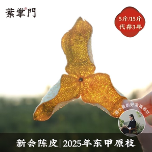 醇厚饱满蜜糖甜 香气高聚 新会新皮 2025年东甲原种原枝新皮