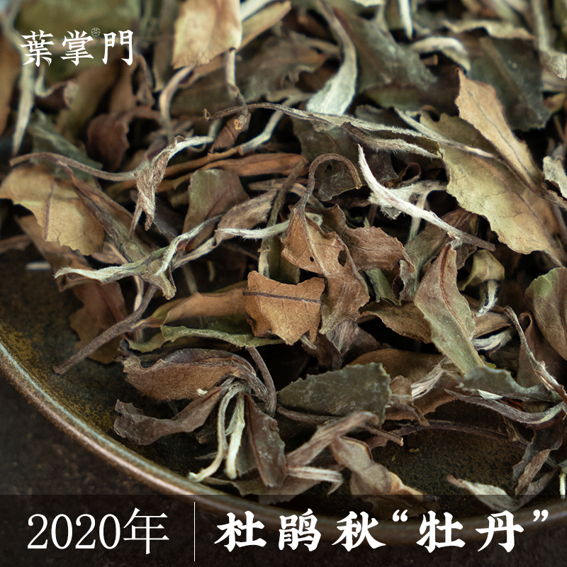【2020年杜鹃秋“牡丹”200g】叶掌门福鼎白茶