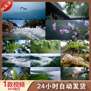 高清谷雨溪流云雾缭绕绿水青山壮丽山河航拍中国自然风光视频素材