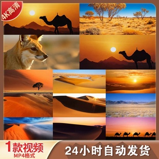 高清沙漠风光合集丝绸之路沙漠骆驼绿洲戈壁沙丘航拍视频素材