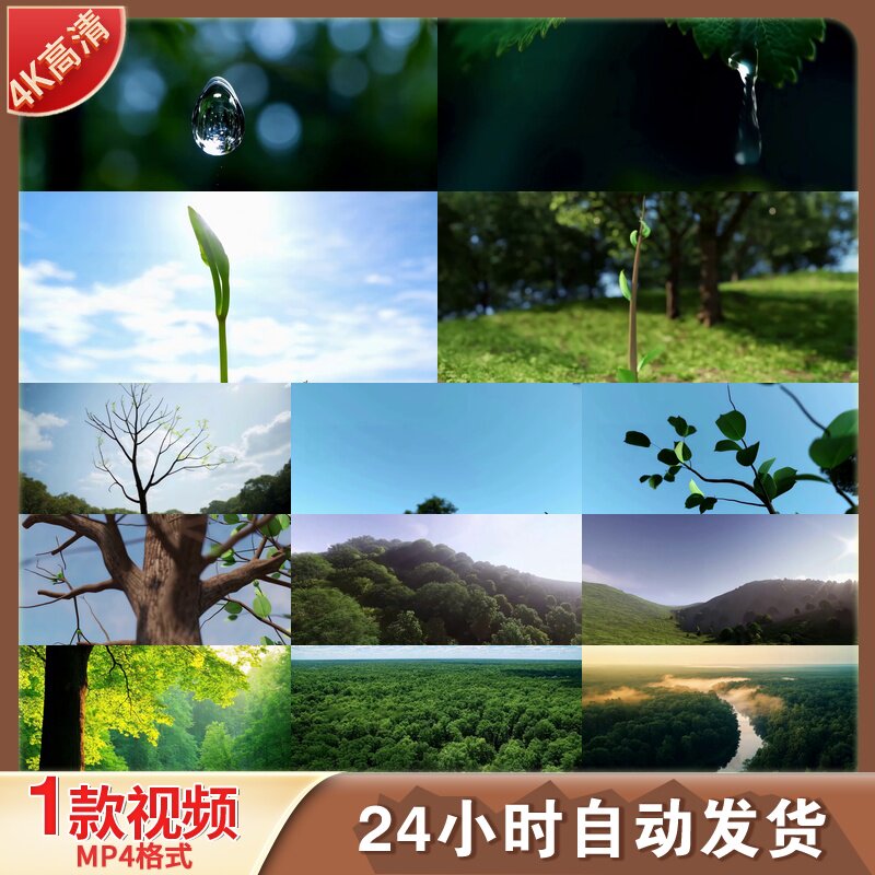 高清雨滴种子发芽树苗生长森林延设计素材/源文件