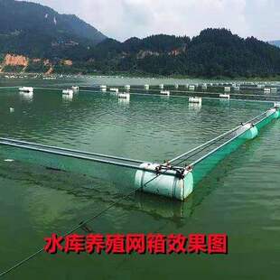 定做养鱼大存鱼不伤鱼网箱水产网箱尼龙抬网鱼塘全自动养殖中国