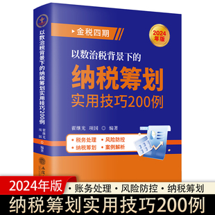 2024版金税四期以数治税背景下的纳税筹划实用技巧200例税务稽查处理政策解读风险防控纳税筹划案例解析增值税个人企业所得税