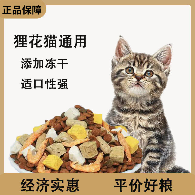 猫粮生骨肉鸡肉通用型全价猫咪主粮成猫幼猫营养冻干配方布偶推荐