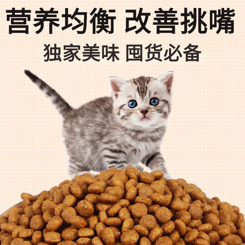 鱼肉味宠物猫小猫粮三个月猫粮3到6个月猫饲料幼猫通用型猫主粮