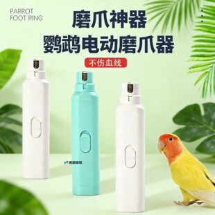 鹦鹉专用磨嘴器电动小太阳打磨小鸟牡丹指甲剪和尚磨脚宠物磨甲器