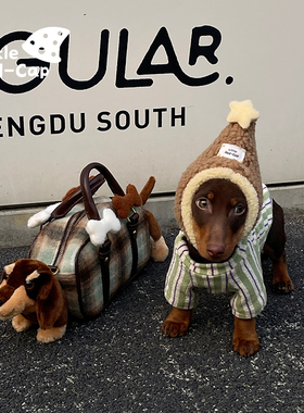 little redcap小红帽节日氛围保暖帽宠物帽子