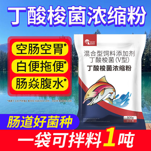 酸梭菌水产养殖专用em益生菌原种