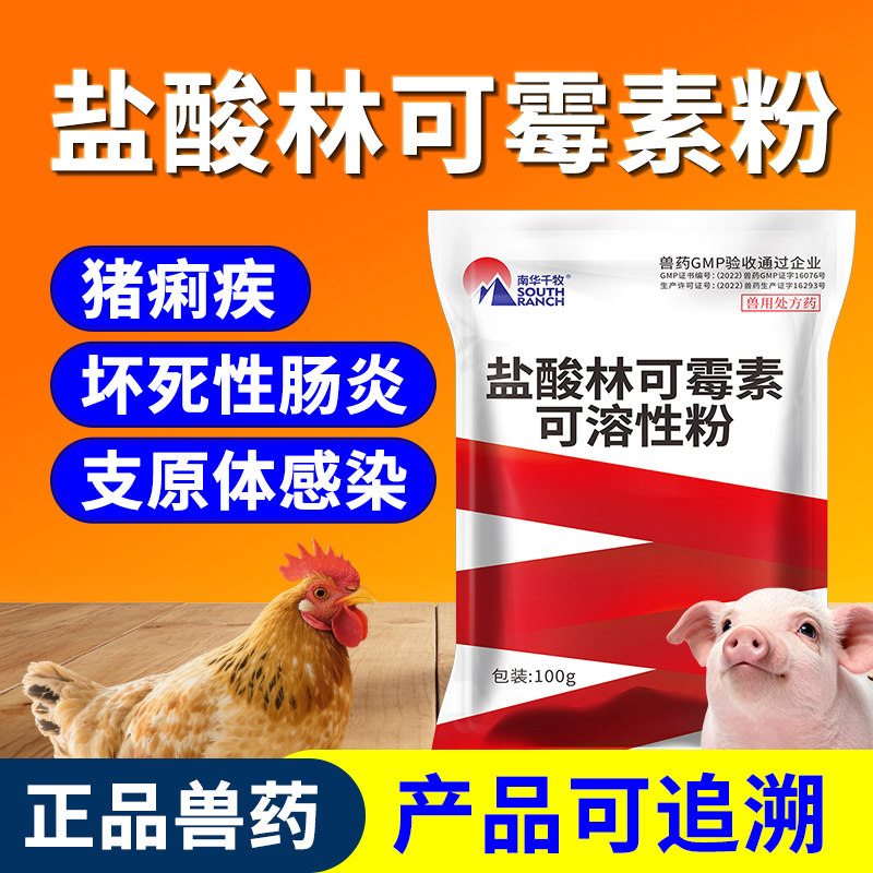 兽药盐酸林可霉素兽用可溶性粉支原体鸡用禽药拉稀肠炎猪用痢疾停