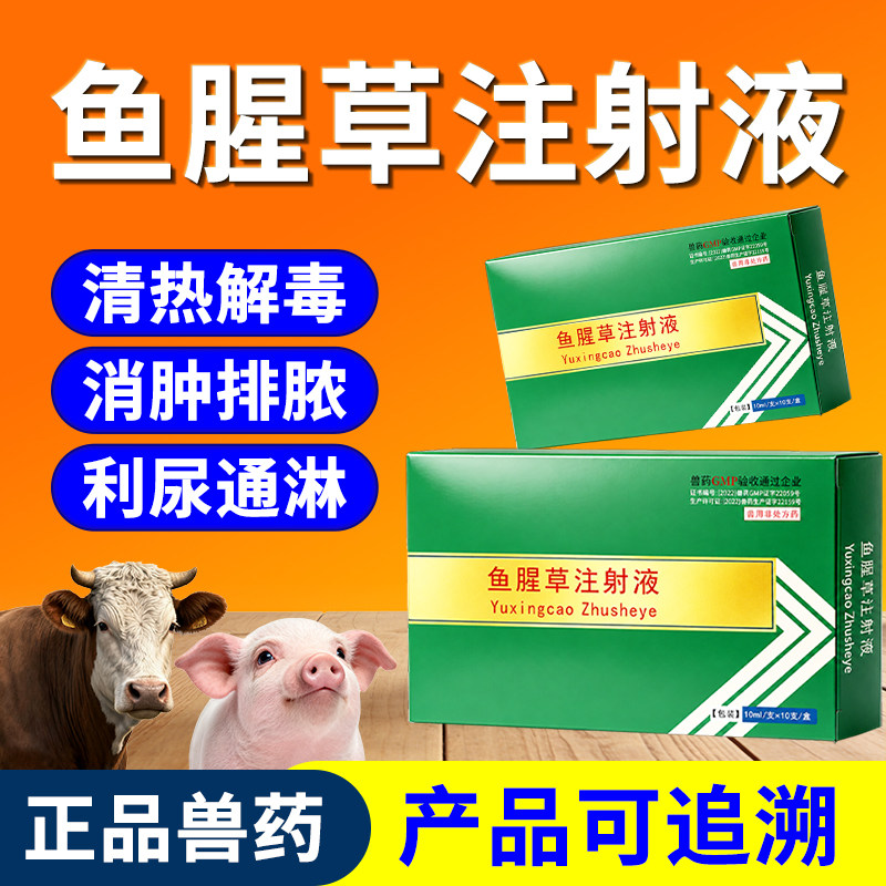 鱼腥草注射用液兽用牛羊痢疾停母猪产后康清热利尿消炎药头孢针剂