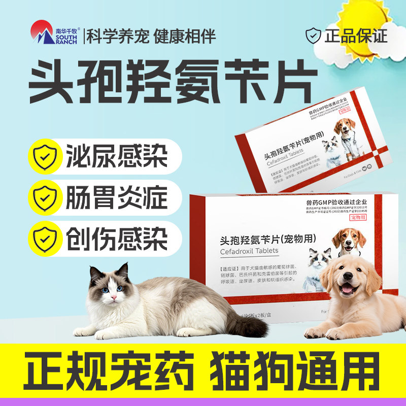 头孢羟氨片宠物猫咪犬用中耳炎狗狗皮肤发炎尿路感染尿道炎消炎药