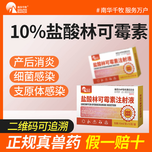 盐酸林可霉素注射兽用母猪产后康消炎针剂痢疾回肠炎犬猫咳嗽雾化