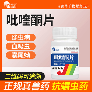 兽药吡喹酮片驱虫药兽用猪牛羊猫狗狗血吸虫净绦虫囊尾蚴比奎铜片