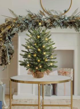 60cm encrypted Christmas tree decoration supplies圣诞树