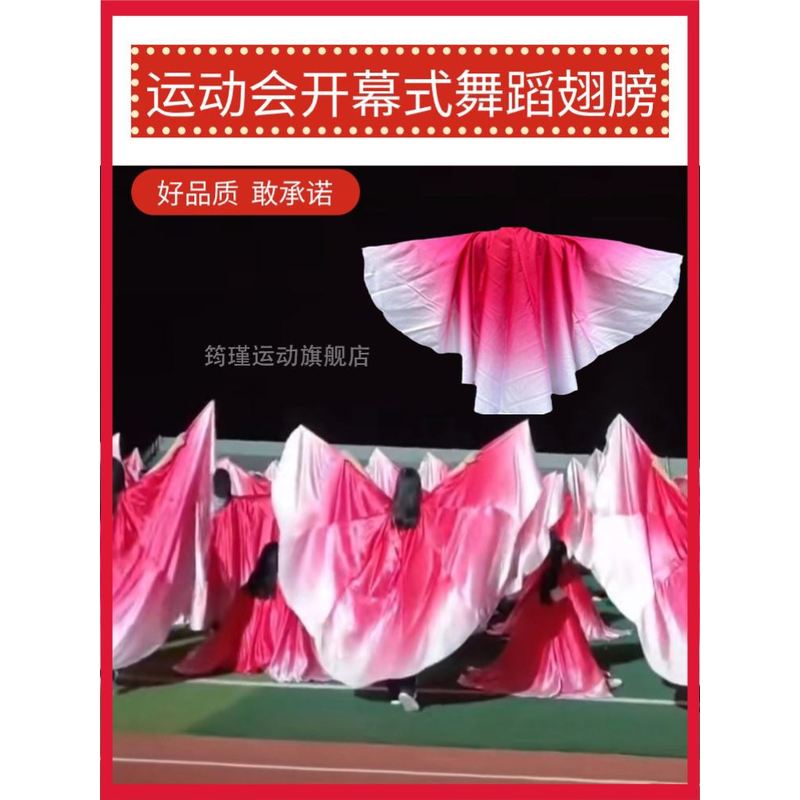盛世欢歌美丽中国青春的誓言粉红色渐变翅膀运动会入场开幕式道具
