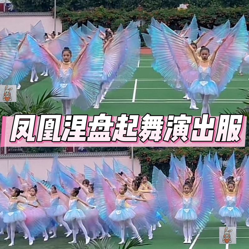 凤凰涅槃带翅膀的演出服